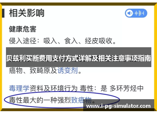 贝兹利买断费用支付方式详解及相关注意事项指南